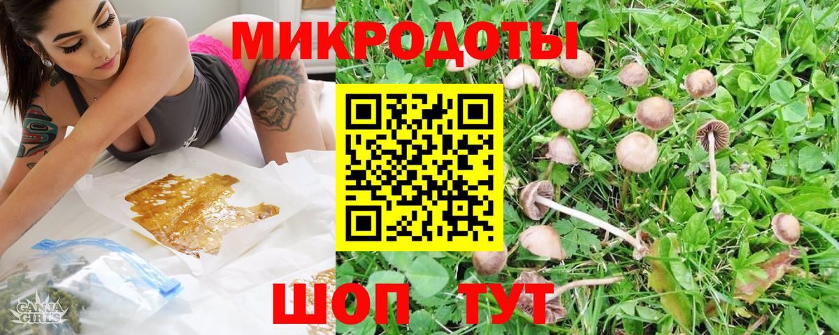 Галлюциногенные грибы прущие грибы Великие Луки
